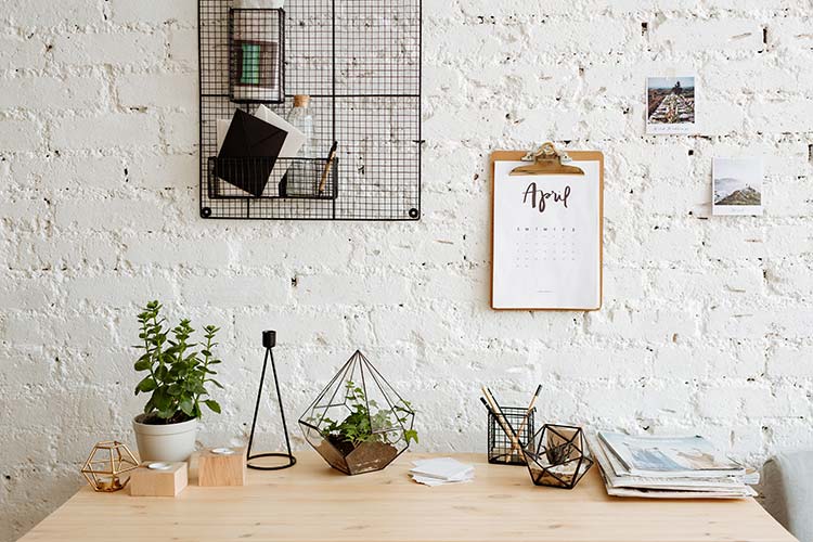 Terrariums on a desk.