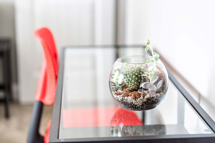 Terrarium in your office.