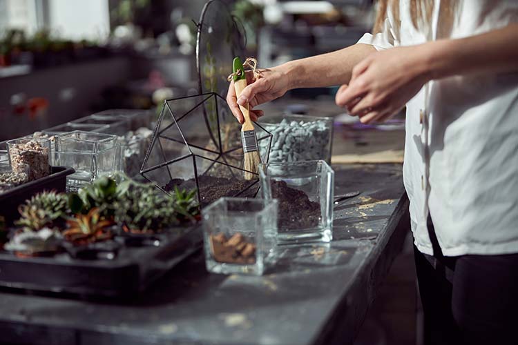 Setting up a terrarium.