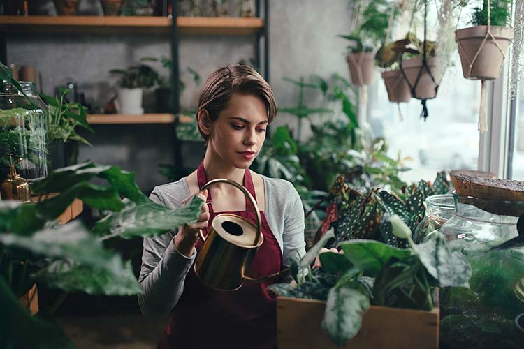 Our team member Tess is caring the plants.