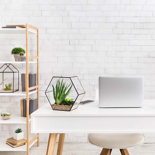 Office desk with a terrarium.