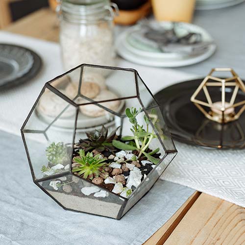 Table with our lovely terrarium decoration.