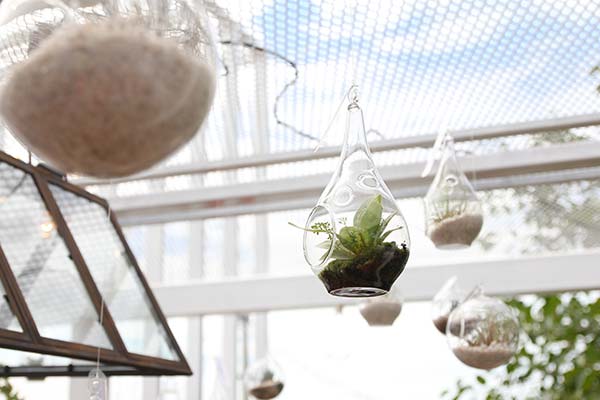 Our terrarium designs.