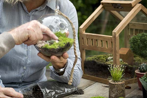 Our terrarium designs.